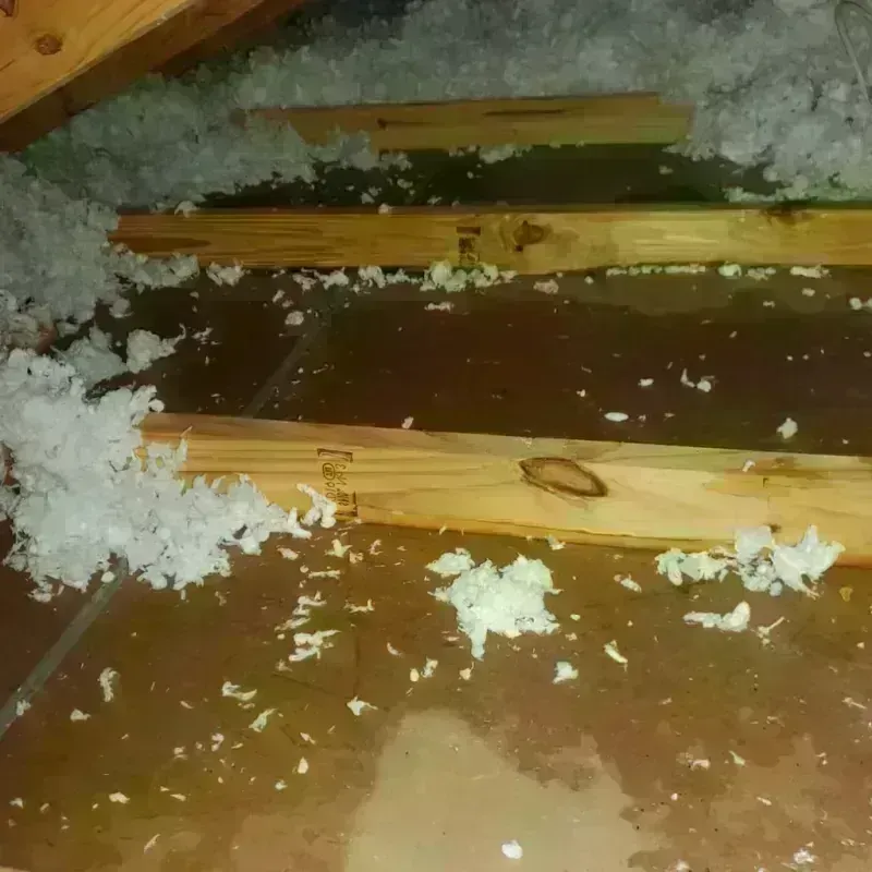 Attic Water Damage in Jenks, OK