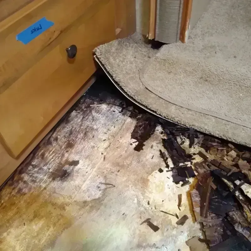 Best Wood Floor Water Damage Service in Jenks, OK